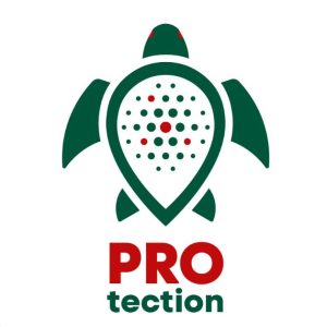 Компания PROtection: инновационные покрытия для защиты от истирания и ударных нагрузок